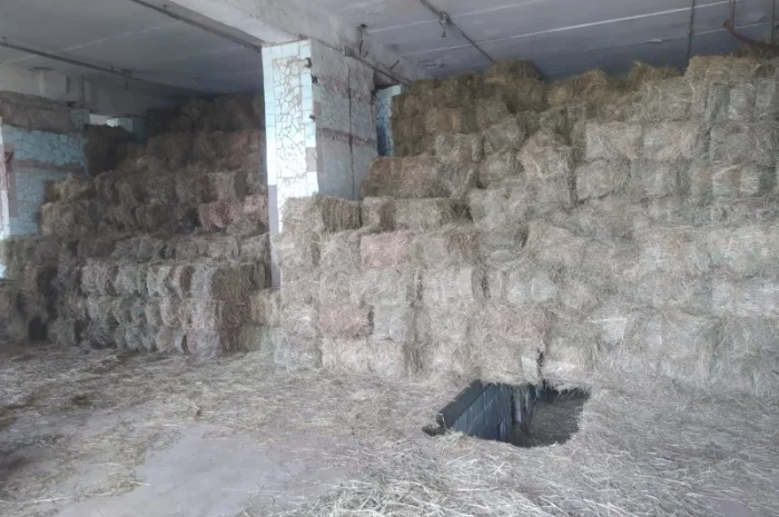 Сено лугове 2022 року. Доставка по Рівненській області- фото № 2