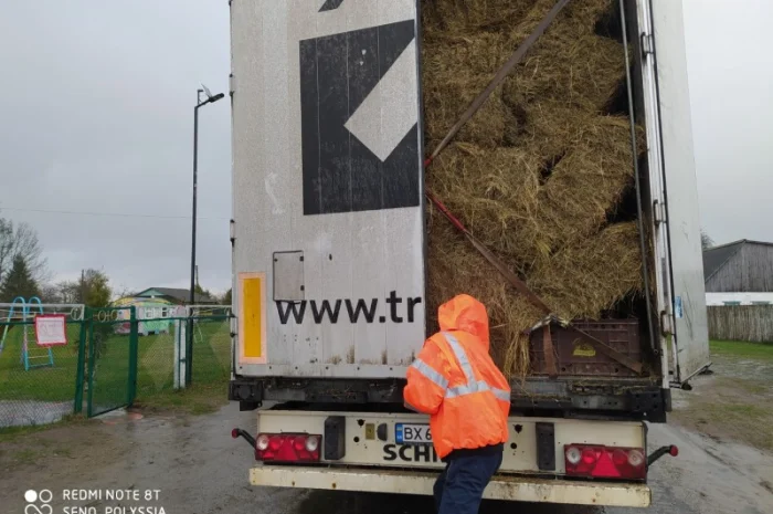 Сено лугове 2022 року. Доставка по Рівненській області- фото № 1