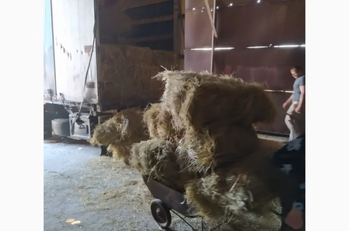 Луговое сено в тюках. Урожай 2022. Без предоплат- фото № 3