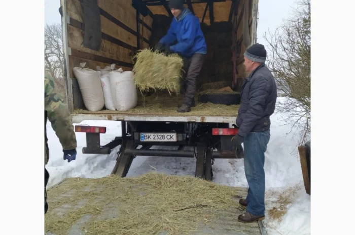Сено лугове, урожай 2022 року в тюках- фото № 2