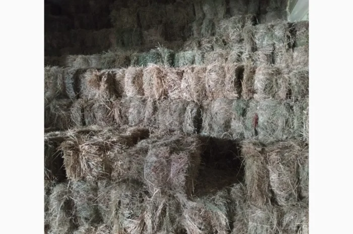 Сіно лугове в тюках- фото № 1