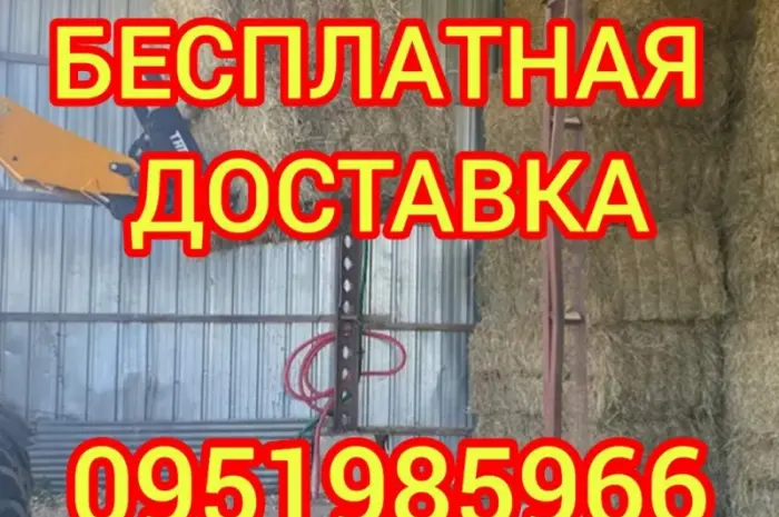 Сено, люцерна, солома, різнотрав'я. Можлива оплата по б/н- фото № 1