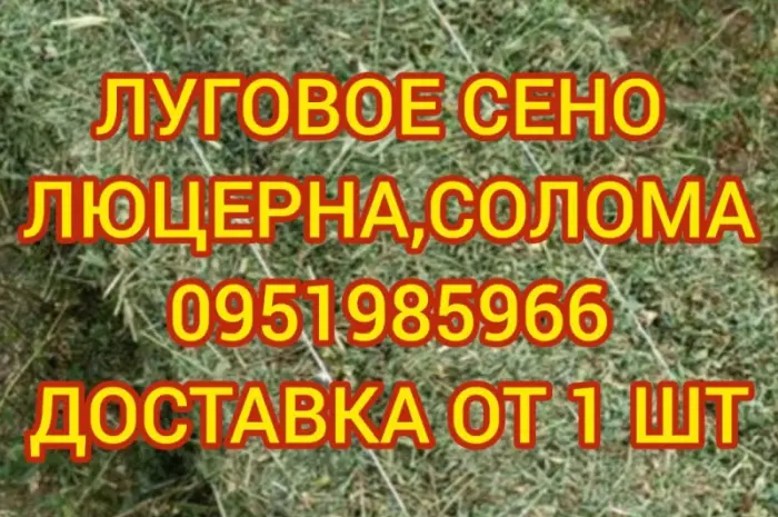 Сено, люцерна, солома, різнотрав'я. Можлива оплата по б/н- фото № 1