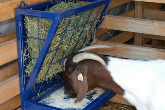 Продам 800т люцерны, лугового сена. Наша доставка- фото № 3