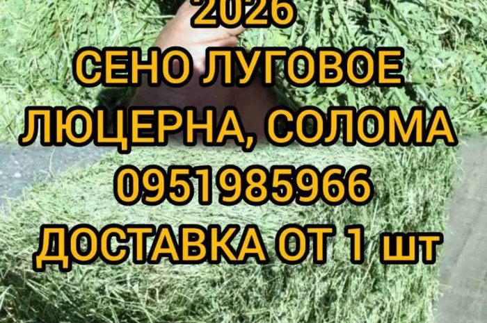 Продам 800т люцерни, лугового сіна. Наша доставка- фото № 1