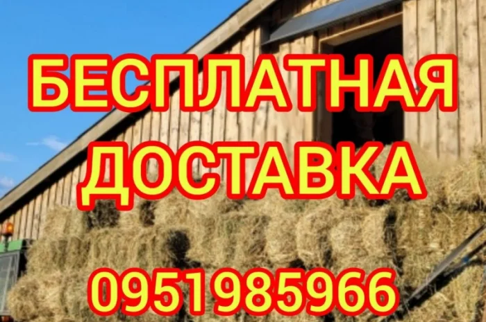 Сено с доставкой по Украине. Луговое (разнотравье), пырей, люцерна, солома в тюках мешках- фото № 1
