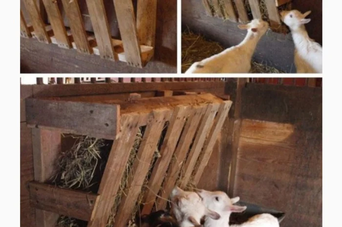 Сено с доставкой по Украине. Луговое (разнотравье), пырей, люцерна, солома в тюках мешках- фото № 3