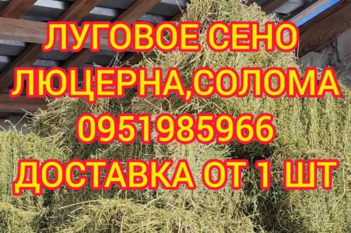 Сено с доставкой по Украине. Луговое (разнотравье), пырей, люцерна, солома в тюках мешках- фото № 1