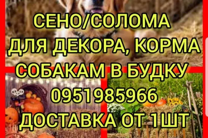 Собакам в будку сено солома в тюках мешках с доставкой на адрес. Отборное- фото № 1