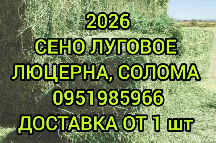 Собакам в будку сено солома в тюках мешках с доставкой на адрес. Отборное- фото № 1