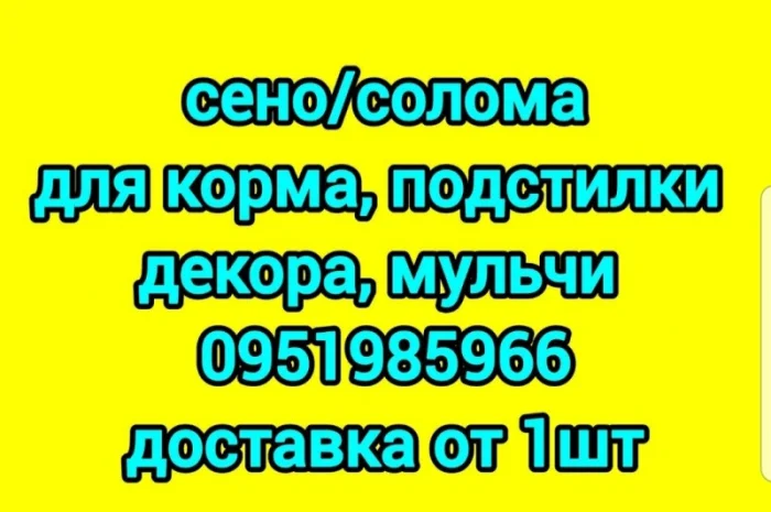 Продам сено луговое, сено люцерны с доставкой- фото № 1