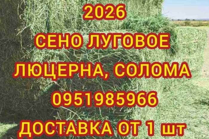 Продам сіно лугове, сіно люцерни з доставкою- фото № 1