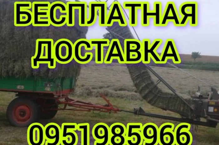 Большие объёмы в наличии. Сено с бесплатной доставкой по Украине. Луговое, люцерна, солома- фото № 1
