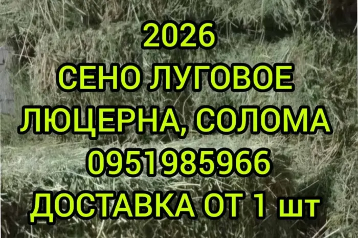 Великі обсяги в наявності. Сіно з безкоштовною доставкою по Україні. Лугове, люцерна, солома- фото № 1