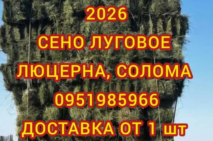Екологічно чисте СІНО в тюках. Великі обсяги- фото № 1