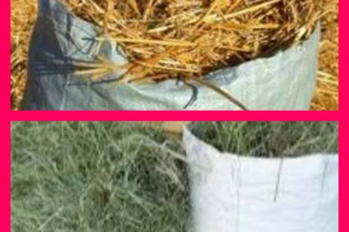 В продаже сено в тюках (луговое, люцерна, солома). Доставка. Нал, б/н- фото № 1