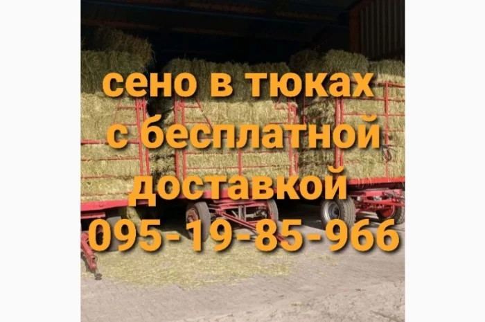 В продаже сено в тюках (луговое, люцерна, солома). Доставка. Нал, б/н- фото № 3