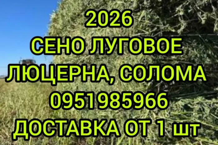 В продажу сіно в тюках (лугове, люцерна, солома). Доставка. Нал, б/н- фото № 1