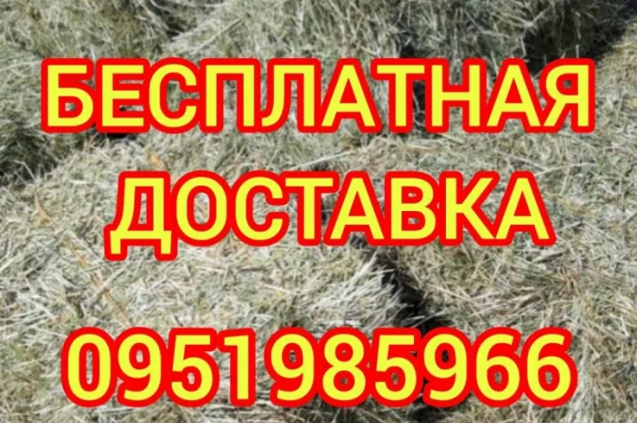 Сено в тюках мешках (луговое, разнотравье, пырей, люцерна), солома из зерновых. Доставка- фото № 1