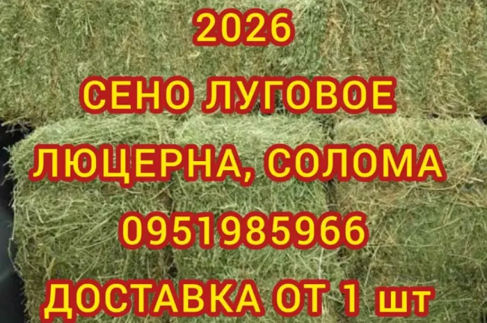 Сено в тюках мешках (лугове, різнотрав'я, пирій, люцерна), солома із зернових. Доставка- фото № 1