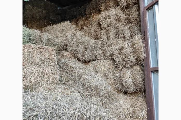 Сіно і тюках- фото № 1