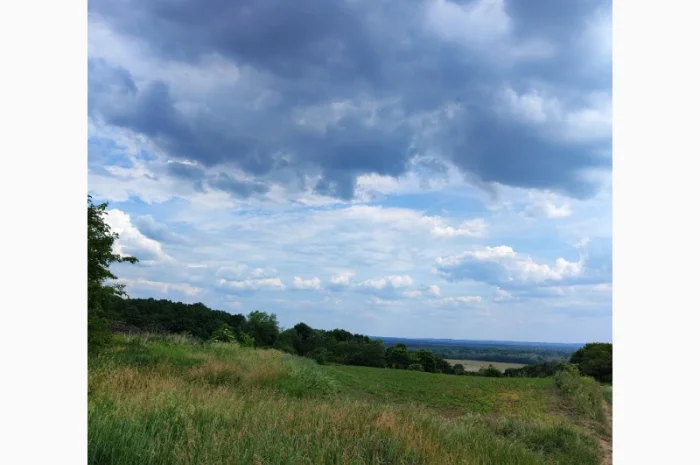 Продам сіно із люцерни, гарне- фото № 1