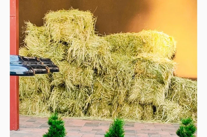 Сено луговое, доставка возможна- фото № 1