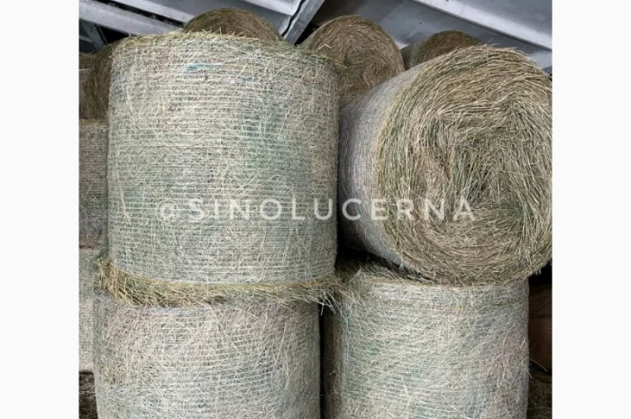 Продам сіно люцерни в круглих тюках- фото № 1