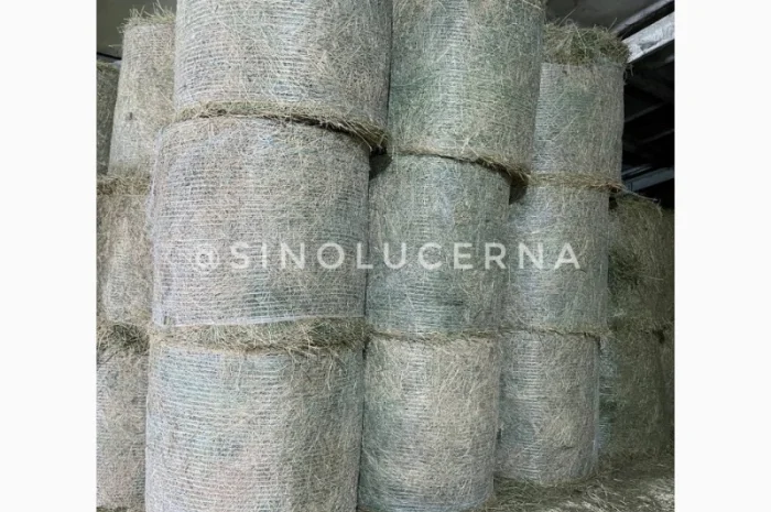 Продам сіно люцерни в круглих тюках- фото № 5