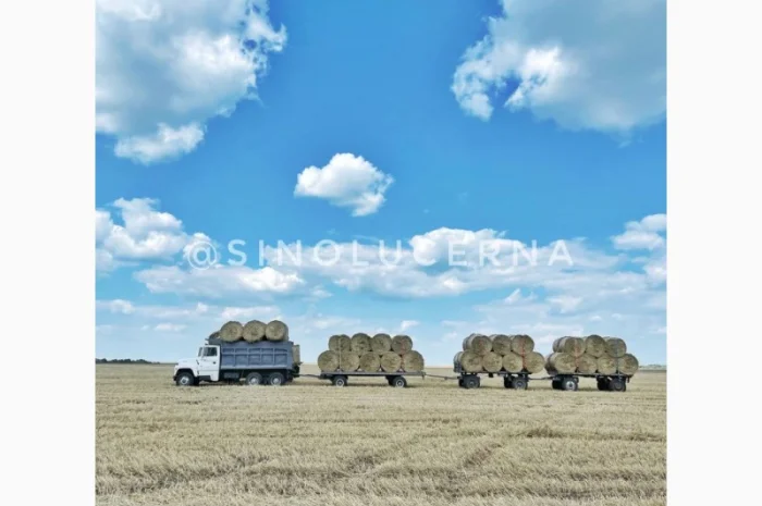 Продам сіно люцерни в круглих тюках- фото № 7