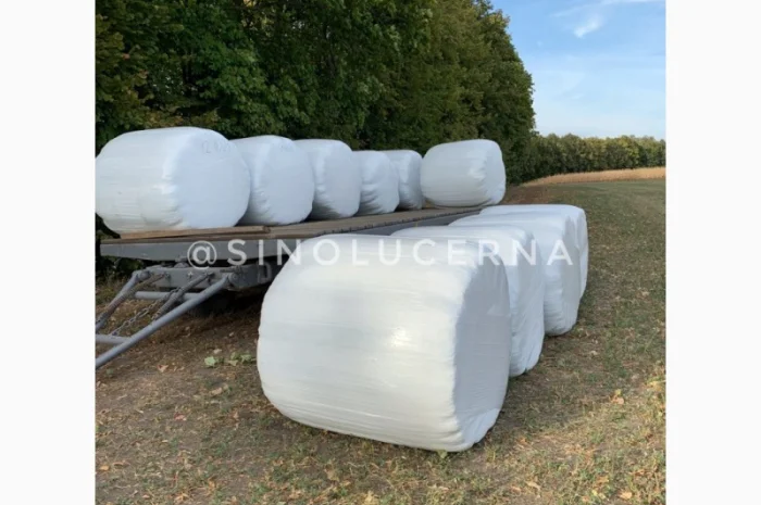 Продам сінаж з люцерни в круглих тюках- фото № 1