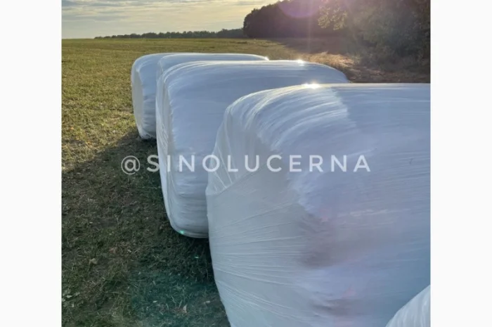 Продам сінаж з люцерни в круглих тюках- фото № 2