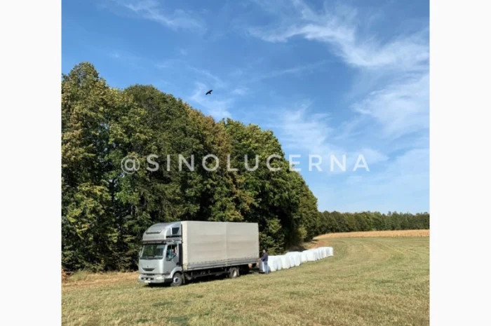 Продам сінаж з люцерни в круглих тюках- фото № 4