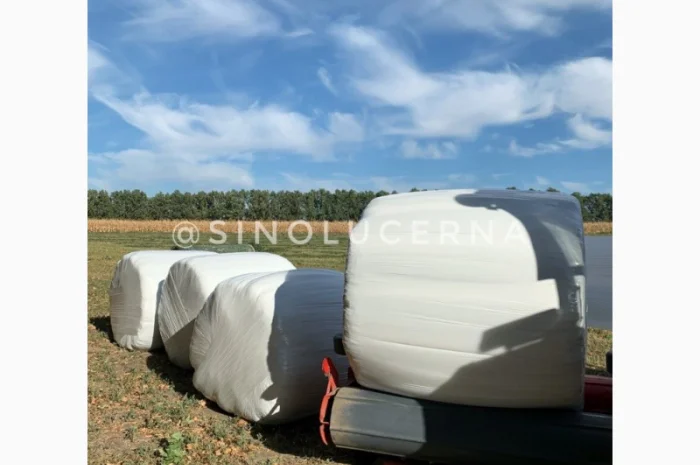 Продам сінаж з люцерни в круглих тюках- фото № 6