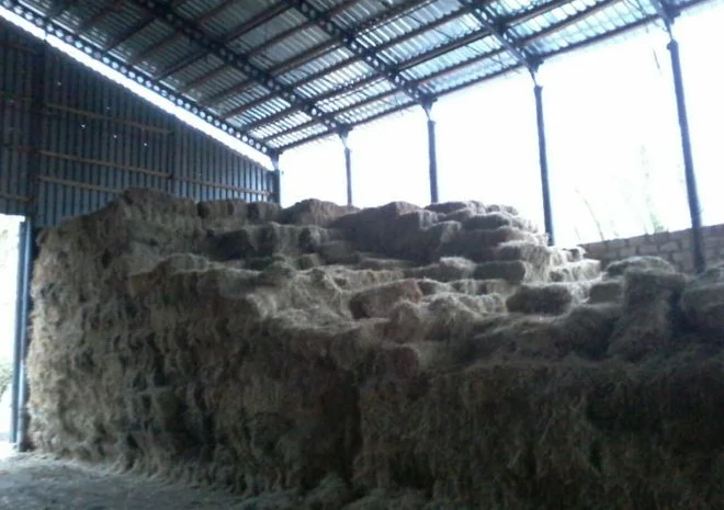 Продам сено- фото № 1