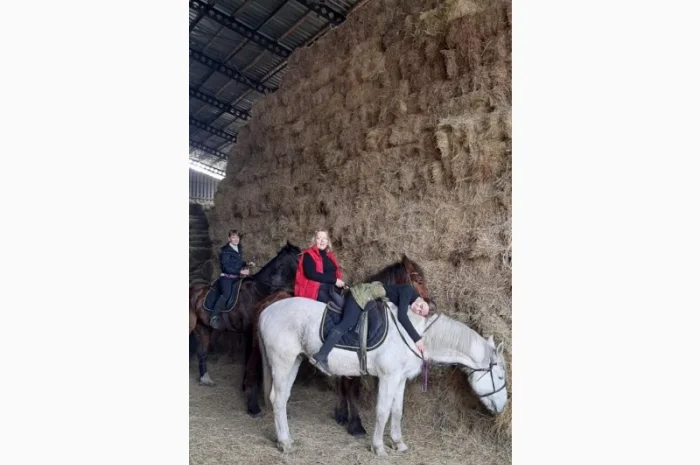 Продам сено- фото № 2