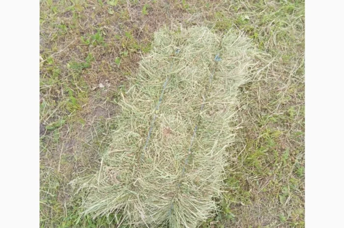 Сіно різнотрав'я, люцерна в квадратних тюках та рулонах- фото № 1