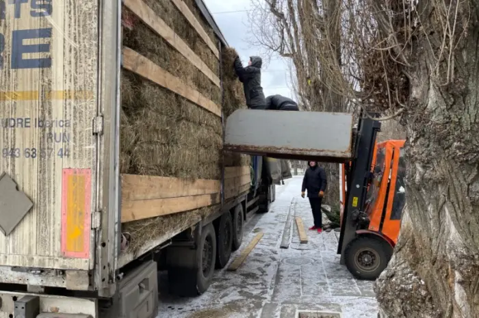 Продам луговое сено в квадратных тюках, с бесплатной доставкой- фото № 1