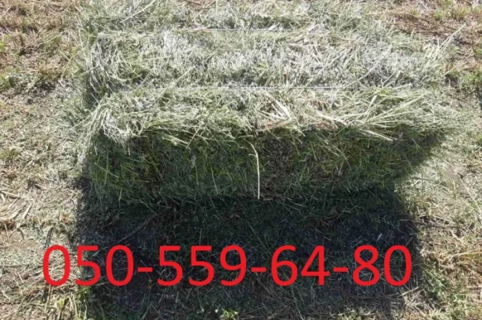 Продается эспарцет, Краматорськ- фото № 1