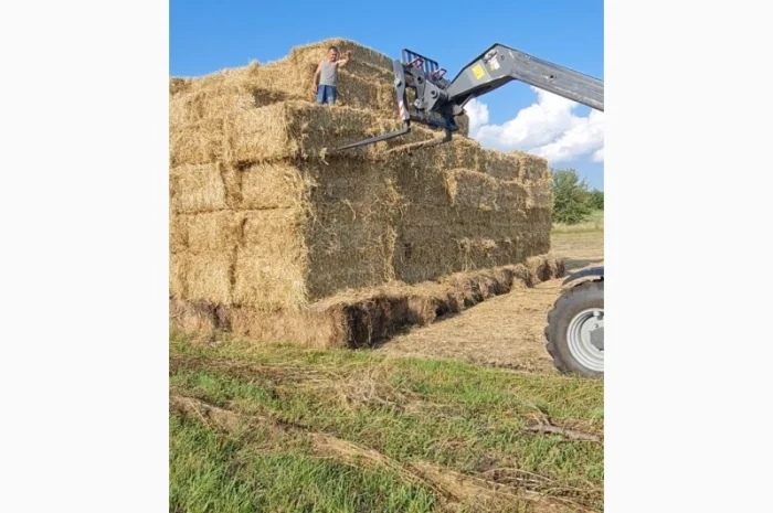 Продам солому пшеничну в тюках- фото № 1