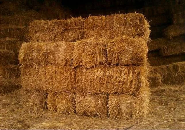 Доставка пшеничной Соломы в тюках по Запорожью- фото № 3