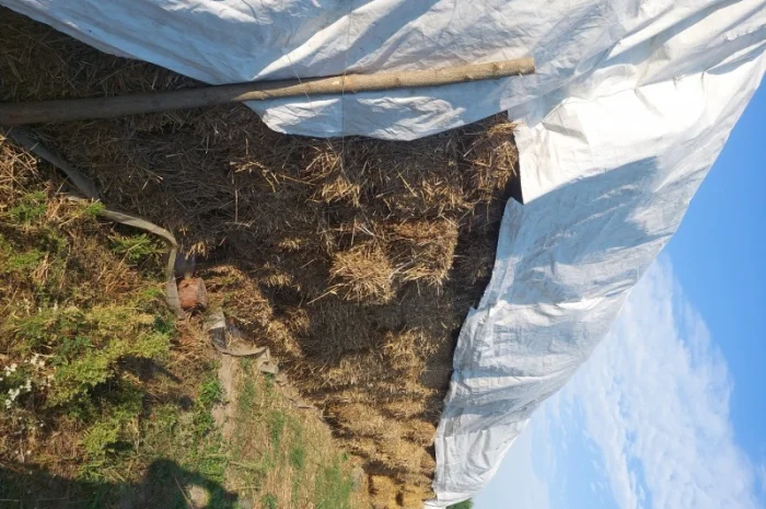 Продам солому в тюках- фото № 1