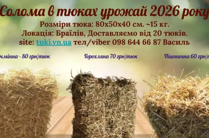 Солома пшенична- фото № 1