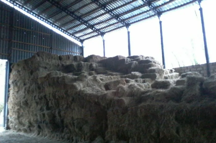 Продам солому- фото № 2