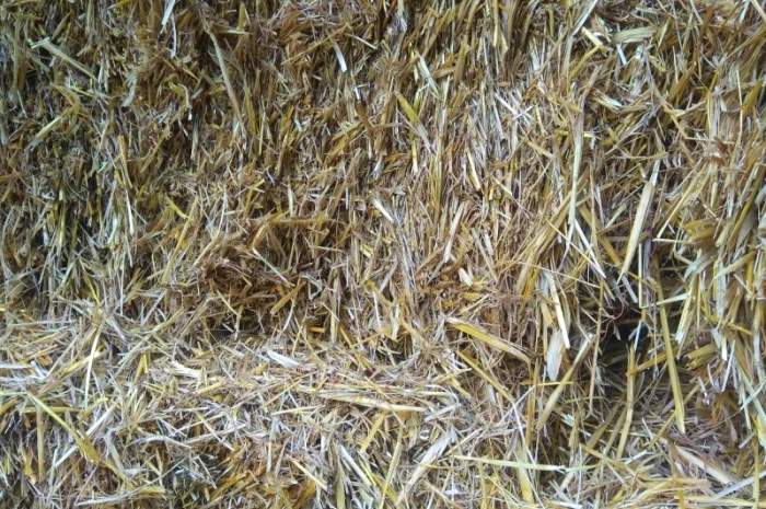 Солома тюкована- фото № 1