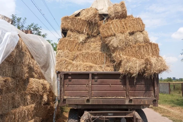 Продам солома- фото № 1