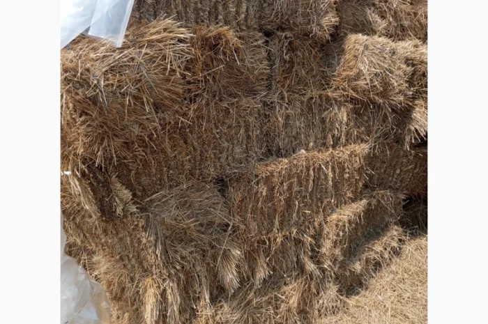 Продам солома- фото № 2
