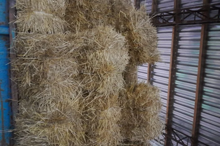 Продам солому пшеничну тюки- фото № 1