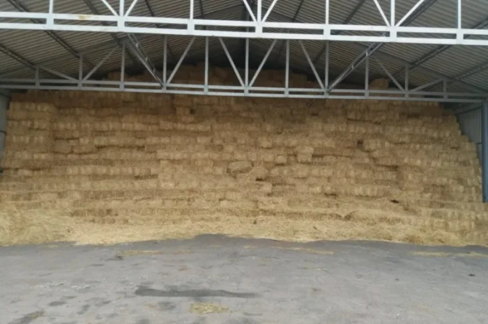 Продам солому в тюках весом- фото № 1