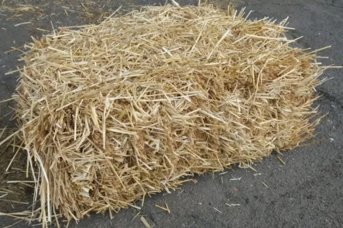 Продам солому в тюках весом- фото № 2
